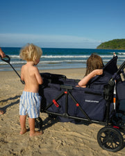 Beach Cart & Double Stroller