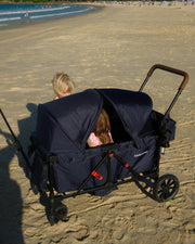 Beach Cart & Double Stroller